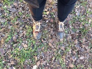 12435723_447972865405206_2111330665_n